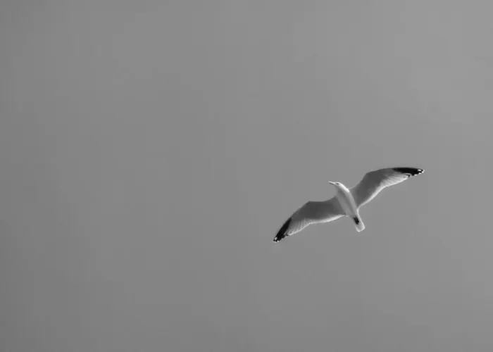 Apartman Hellofrom Tobacco Warehouse Kavála